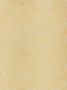 Sàn Nhựa Cuộn R2080