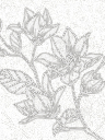Giấy dán tường DECORTEX PA1909-1