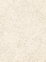 Giấy dán tường DECORTEX PA1910-2