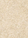 Giấy dán tường DECORTEX PA1910-3
