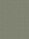 Giấy dán tường V-CONCEPT 7917-6
