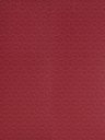 Sàn Nhựa Vinyl Thể Thao Y11048
