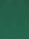 Sàn Nhựa Vinyl Thể Thao Y21048