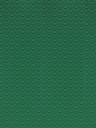 Sàn Nhựa Vinyl Thể Thao Y21055