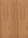 Sàn Nhựa Vinyl Thể Thao Y65145X