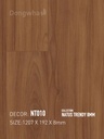 Sàn gỗ Dongwha NT010